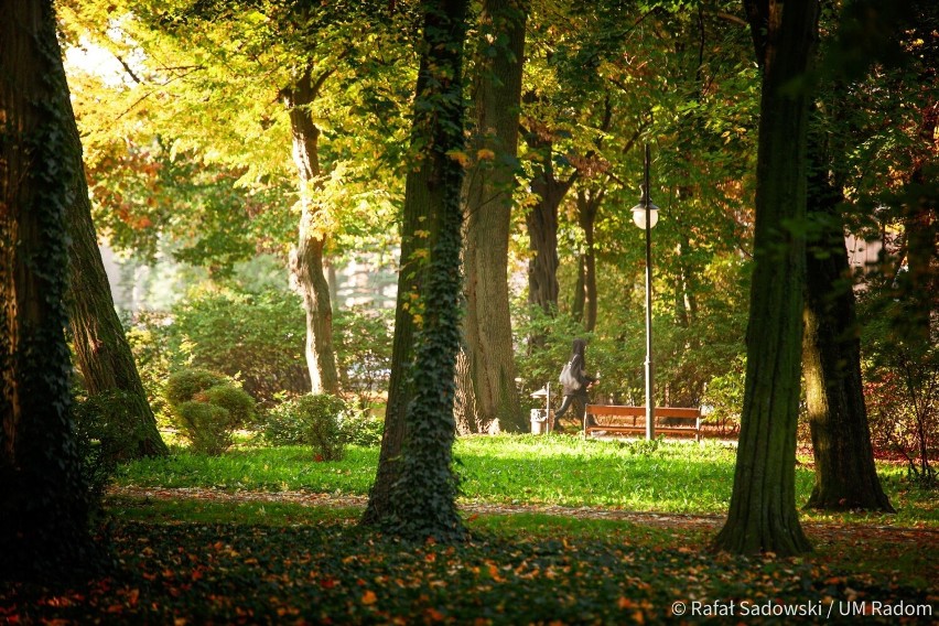 Piękna jesień w radomskich parkach. Zobaczcie na zdjęciach, jak prezentuje się przyroda w październiku