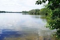 Jezioro Rusałka przyciąga mieszkańców Poznania na spacery i...