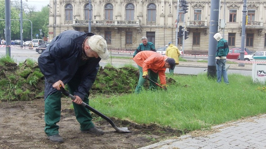 Kompleksowy program przywracania zieleni na Zachodniej i...