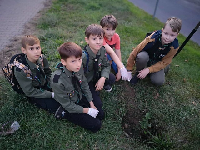 8 Drużyna Harcerska "Horyzont": harcerze sadzili drzewa w Parku Śremskich Odlewników