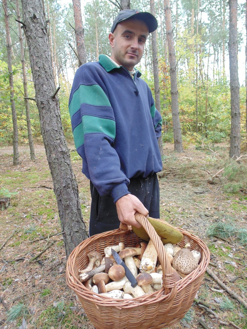 Pan Tomek z Chodla i jego pełny kosz grzybów.