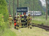 Tragedia na torach w Kaliszu. Mężczyzna śmiertelnie potrącony przez pociąg. ZDJĘCIA