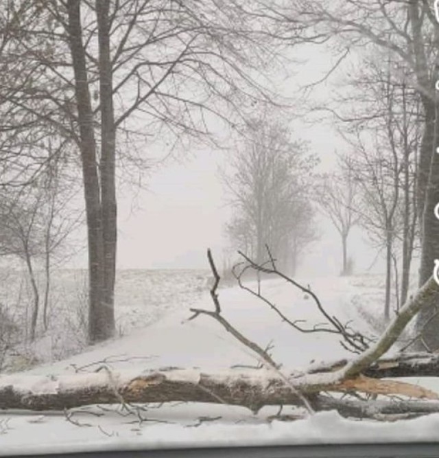 Połamane drzewa i korki, to efekt burzy śnieżnej na Sądecczyźnie