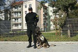 KRÓTKO: Pies policyjny odnalazł Leona Korfanta