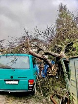 Strażacy podsumowali działania po silnej wichurze ZDJĘCIA