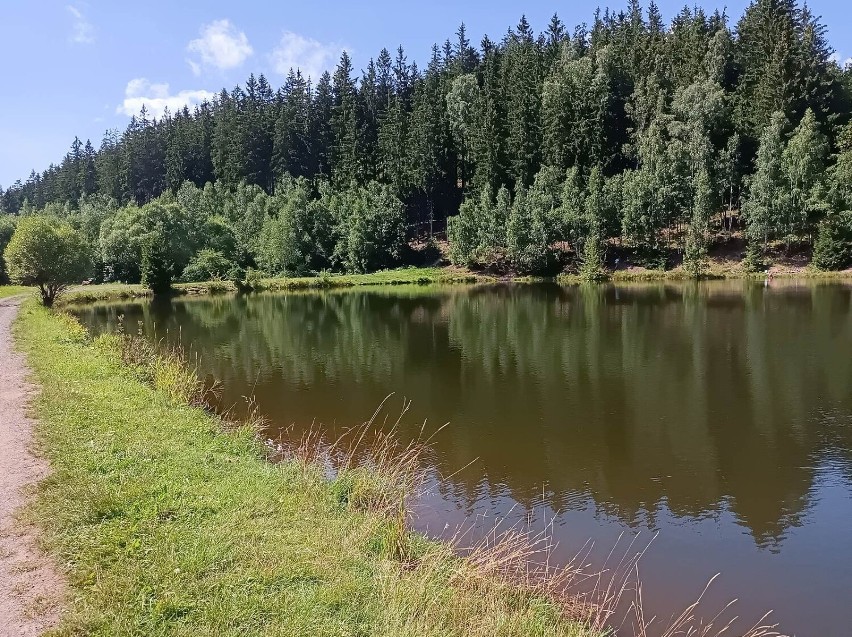 Zalew w Grzędach w gminie Czarny Bór. W latach 90. i na...