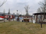 W pogoni za kaczką, czyli nietypowa akcja strażaków z Katowic