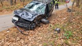 Wypadek w Mysłowie. Samochód uderzył w drzewo, jedna osoba ranna. Lądował śmigłowiec LPR