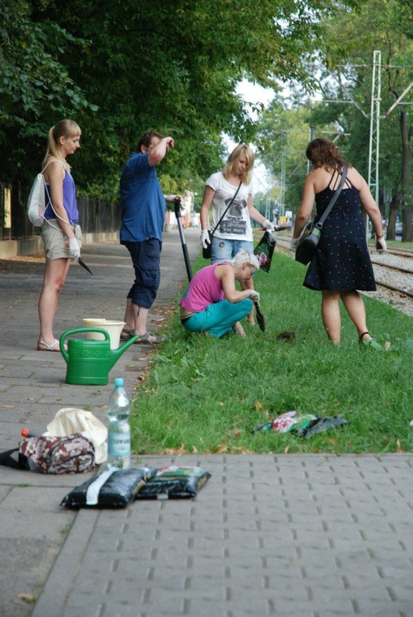 Guerilla Gardening