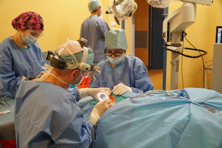 Pierwsza implantacja w klinice miała miejsce w  styczniu...