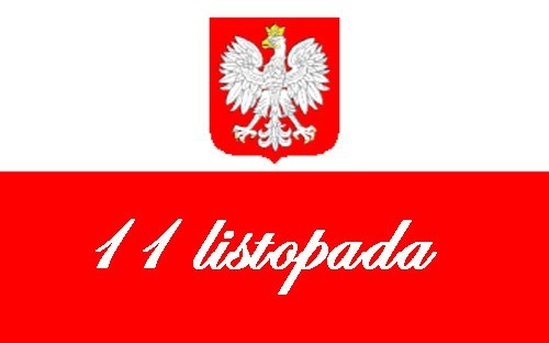 11 Listopada w Nowym Dworze Gdańskim