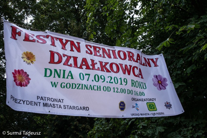 W Stargardzie odbył się I Festyn Senioralny Działkowca [ZDJĘCIA]