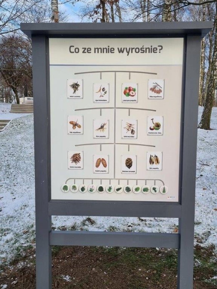 W parku przy ul. Orzeszkowej w Rypinie pojawiły się tablice edukacyjne