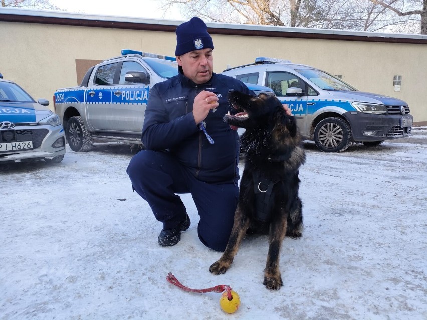 Blacky jest psem patrolowo tropiącym, który pod koniec...