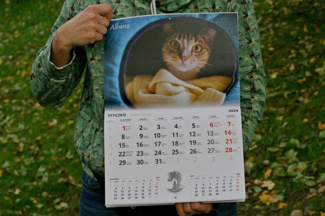 Schronisko dla Zwierząt w Wałbrzychu wydało kalendarz ze zdjęciami swoich podopiecznych. To piąta edycja kalendarza