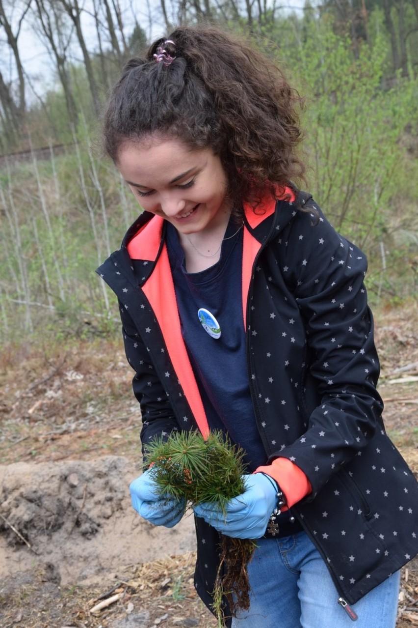 Młodzież sadziła las w Męckiej Woli koło Sieradza inaugurując akcję Grupę PGE „Lasy pełne energii” 2018