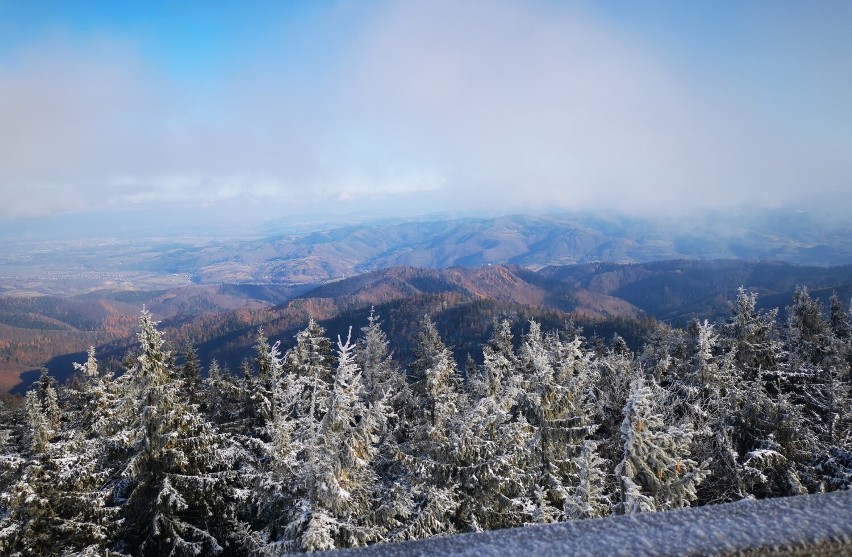 Beskid Sądecki. Sądeckie lasy w jesienno - zimowej szacie. Pogoda wciąż nie może się zdecydować [ZDJĘCIA]