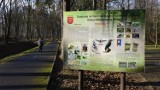 Tak się zmienia park miejski w Nysie. Zobacz, jak wygląda po remoncie, a to nie koniec! [zdjęcia]