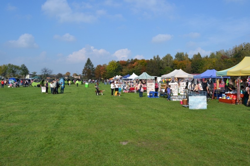 Wystawa psów rasowych 2014 w Gliwicach