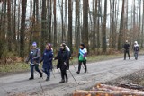 Zimowy rajd Nordic Walking obornickich Włóczykijów [ZDJĘCIA]