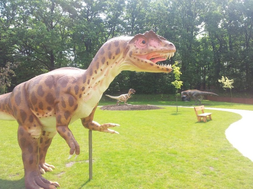 Park dinozaurów we Wrocławiu! Otwarty od czwartku (ZDJĘCIA)