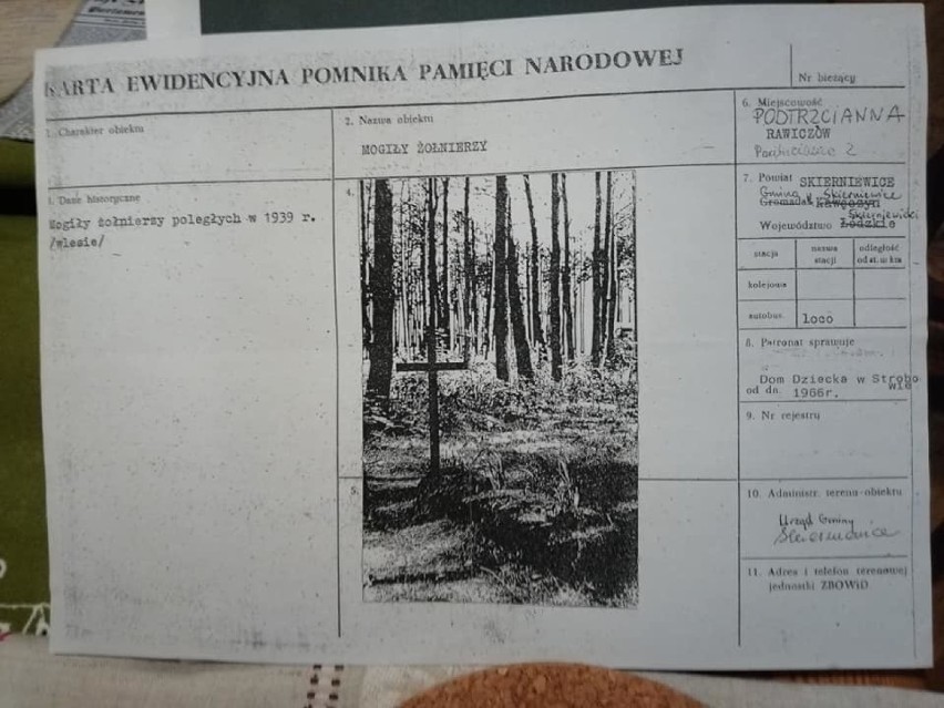 Las rawiczowski pod Skierniewicami skrywa wiele tajemnic, a na pewno ludzkie szczątki