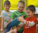 Przedszkole Publiczne nr 1: Kolorowe papugi na żywej lekcji przyrody