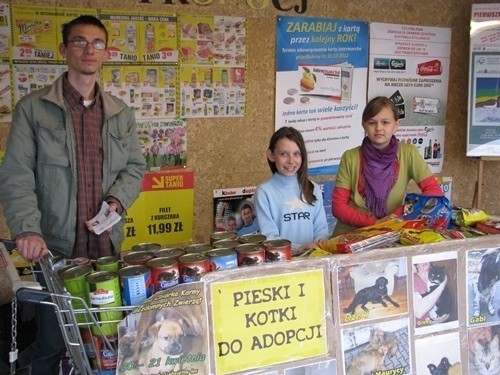 Z Reksa: Wiosenna zbiórka karmy i prośba o adopcję kotów