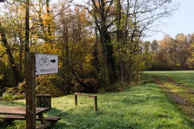 Fragmetn zielonego szlaku z Lipska Żarskiego do Jabłońca jest wyjątkowo malowniczy i idealny na rodzinny spacer lub przejażdżkę rowerem.
