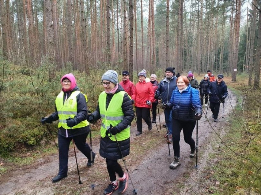 Grodzisk: Rajd Nordic Walking edycja nocna już wkrótce