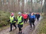 Grodzisk: Rajd Nordic Walking edycja nocna już wkrótce