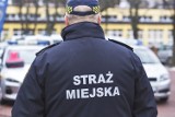 Kto zaczepia dzieci w Bełchatowie? Straż miejska patroluje okolice szkół