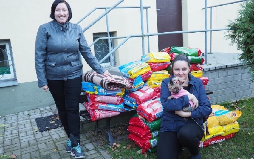 Zwierzaki w potrzebie - zbiórka pieniędzy i darów dla schroniska w Radomsku