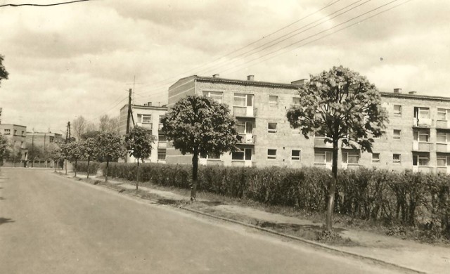 Pierwsi mieszkańcy wprowadzili się do tzw. niskich bloków o numerach 10 oraz 12 prezentowanych na zdjęciu w roku 1963 oraz 1964