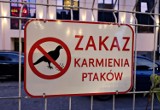 Kraków. Nietypowe znaki zakazu, czego nam zakazują [ZDJĘCIA]