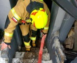 Gmina Damasławek. Strażacy zostali wezwani do zalanej piwnicy w Sterężynie 