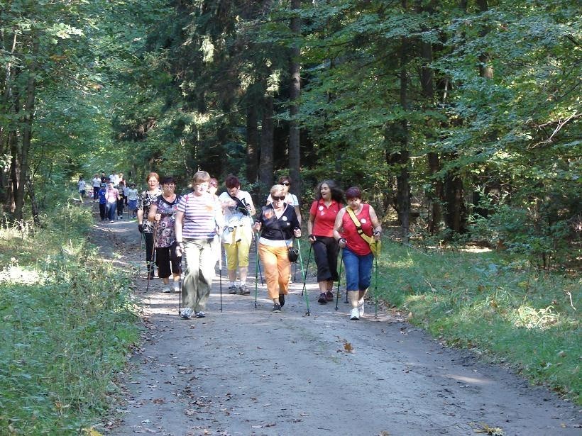 Jesienne nordic walking w Porażynie [ZDJĘCIA]