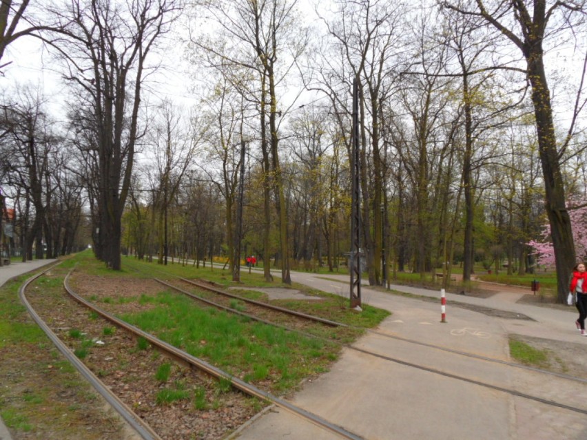 Wiosna w Bytomiu 2015 : Park Miejski im. F. Kachla i okolice