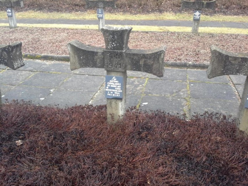 Żołnierz 10 PP w Łowiczu ma dwa groby. Ustalono, gdzie spoczywa (Zdjęcia)