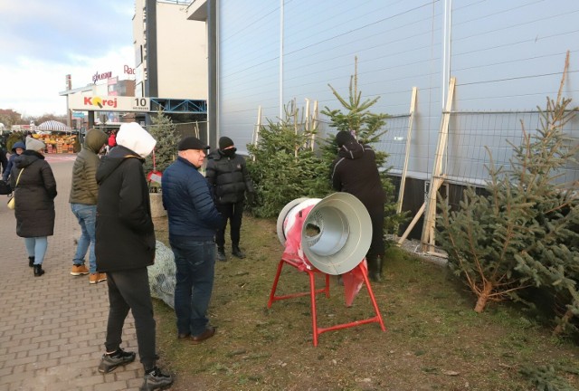 Na targowisku Korej w Radomiu wciąż można kupić choinki. Tuż przed świętami Bożego Narodzenia oferowano sporo drzewek.