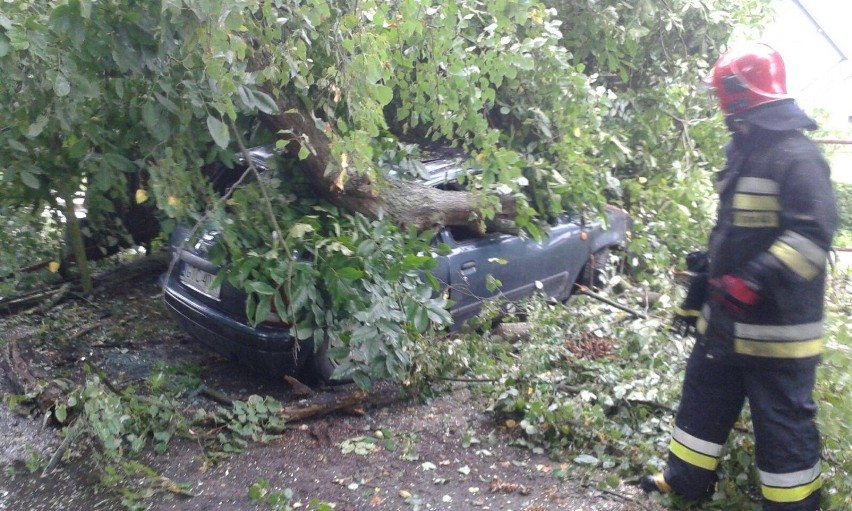Powiat: Połamane drzewa, zniszczone auto i dach. Jakie szkody wyrządziła nocna nawałnica? [ZDJĘCIA]
