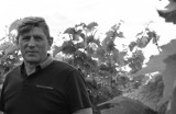 Smutna wiadomość obiegła nie tylko środowisko lubuskich producentów wina. Nie żyje znany i ceniony winiarz Władysław Hiki