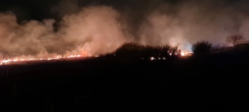 Nocny pożar traw na nieużytkach przy ul. Urzędniczej w...