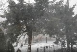 Burza śnieżna z wyładowaniami atmosferycznymi w Hnatkowicach koło Przemyśla [FILM INTERNAUTKI]