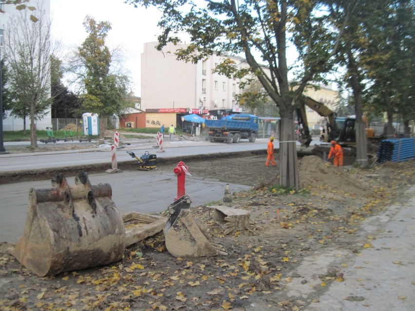 Lublin. Podcięli korzenie zabezpieczonych drzew, bo… droga im się nie mieściła. Bulwersujące zdarzenie przy remoncie Al. Racławickich 