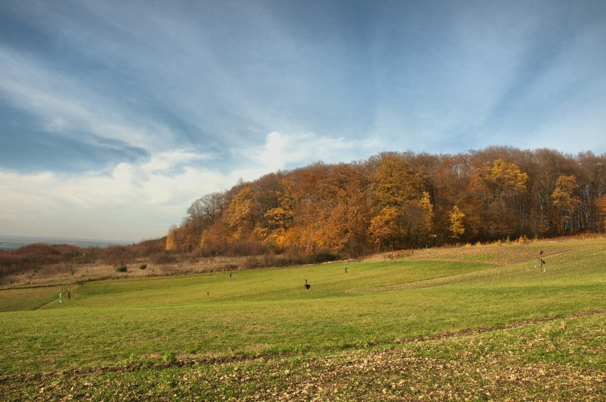 Era Travel Radomsko proponuje aktywne Boże Narodzenie