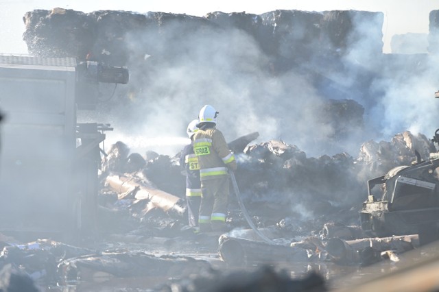 Pożar firmy przetwarzającej i składującej makulaturę przy ul. Mieczykowej w Grudziądzu