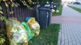 W Sławnie problemy z segregacją śmieci. Jeśli się to nie zmieni - będzie dużo drożej dla mieszkańców