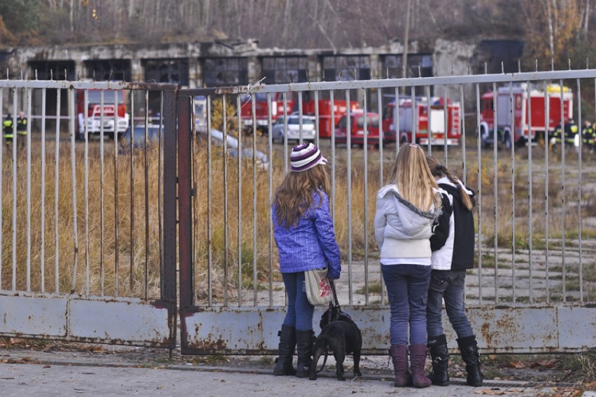 Tragiczny wypadek w Gdyni Obłużu. Zawalił się magazyn przy...