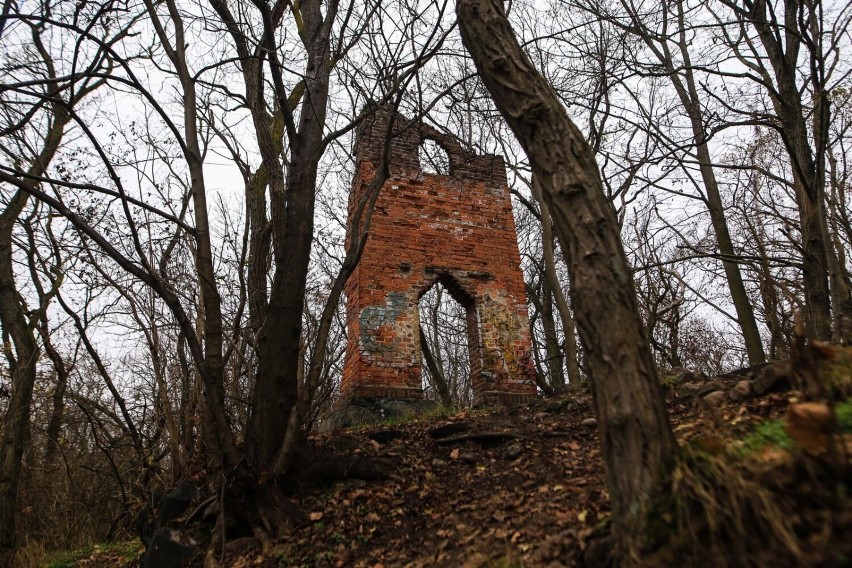 Wspaniały niegdyś pałac w Radojewie, choć dawno stracił swój...